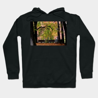 Autumn in the park Hoodie